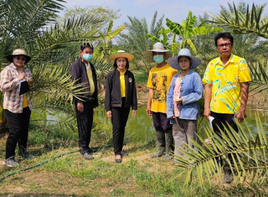 วันที่ 5 กุมภาพันธ์ 2567 ... พารามิเตอร์รูปภาพ 4